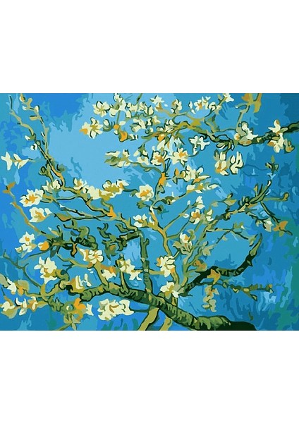 Van Gogh Kayısı Çiçeği Çerçeveli 40X50 Sayılarla Boyama Hobi Seti