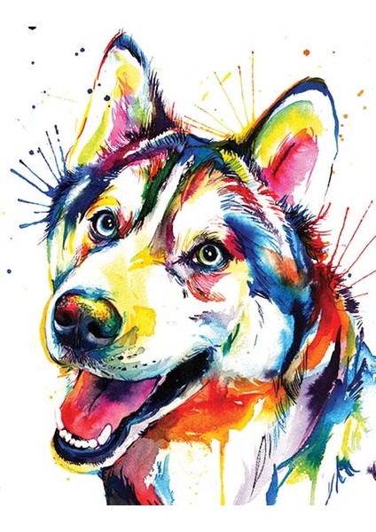 Renkli Husky Çerçeveli 60X75 Sayılarla Boyama Hobi Seti