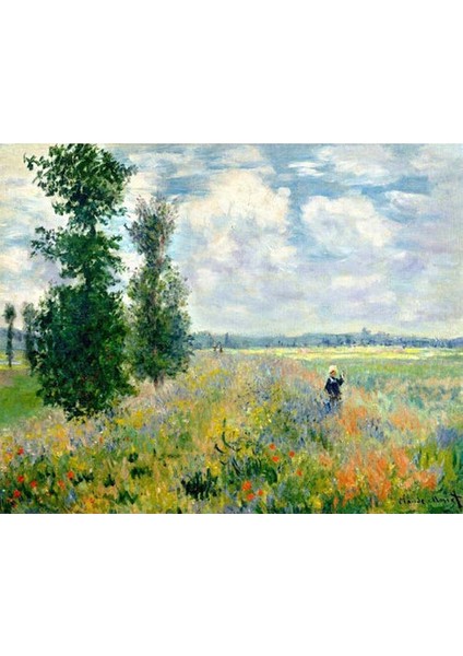 Claude Monet Çerçeveli 70X90 Sayılarla Boyama Hobi Seti