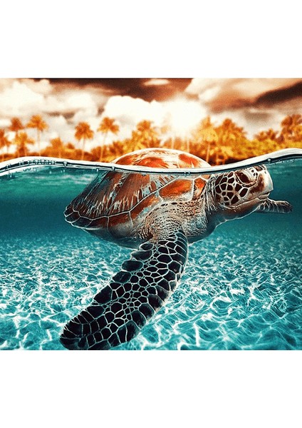 Kaplumbağa ve Deniz 2 Çerçeveli 40X50 Sayılarla Boyama Hobi Seti