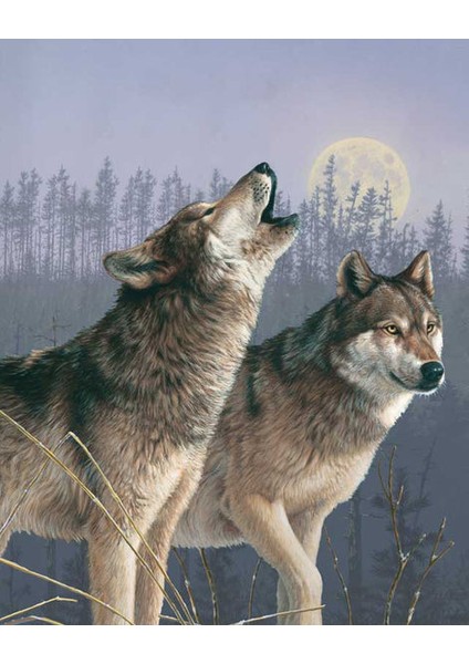 Kurt Düğünü Çerçeveli 50X65 Sayılarla Boyama Hobi Seti