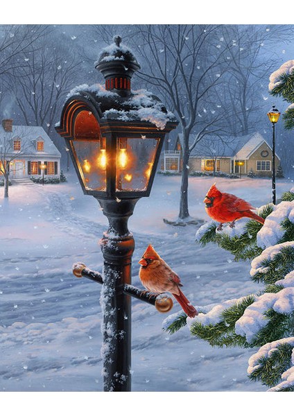 Kış Kuşları Çerçeveli 70X90 Sayılarla Boyama Hobi Seti