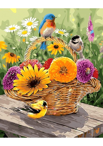 Çiçek Sepeti ve Kuşlar Çerçeveli 40X50 Sayılarla Boyama Hobi Seti