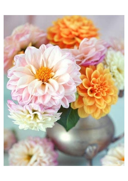 Yakın Gül Çerçeveli 70X90 Sayılarla Boyama Hobi Seti