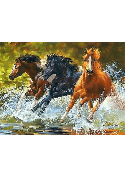 Koşan Atlar Çerçeveli 40X50 Sayılarla Boyama Hobi Seti