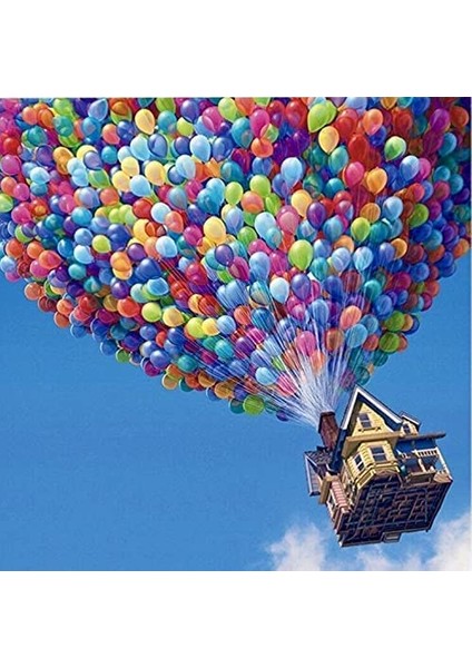Uçur Beni Çerçeveli 60X75 Sayılarla Boyama Hobi Seti