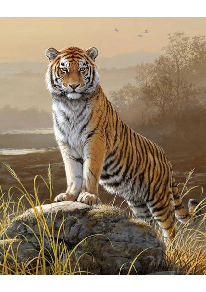 Majestik Kaplan Çerçeveli 50X65 Sayılarla Boyama Hobi Seti