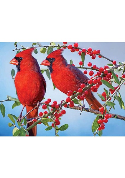 Tropik Kuşlar Çerçeveli 90X110 Sayılarla Boyama Hobi Seti