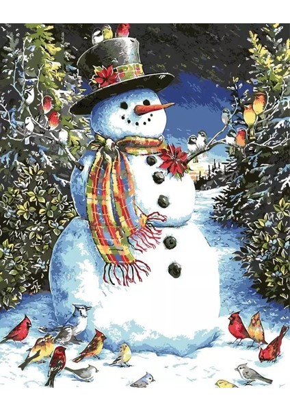 Kardanadamın Kuşları Çerçeveli 70X90 Sayılarla Boyama Hobi Seti