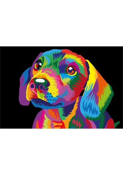 Rengarenk Çomar Çerçeveli 70X90 Sayılarla Boyama Hobi Seti