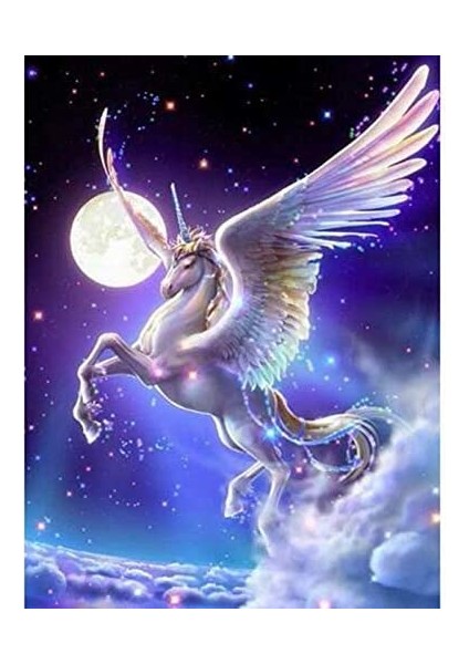 Fantastik Unicorn Çerçeveli 70X90 Sayılarla Boyama Hobi Seti