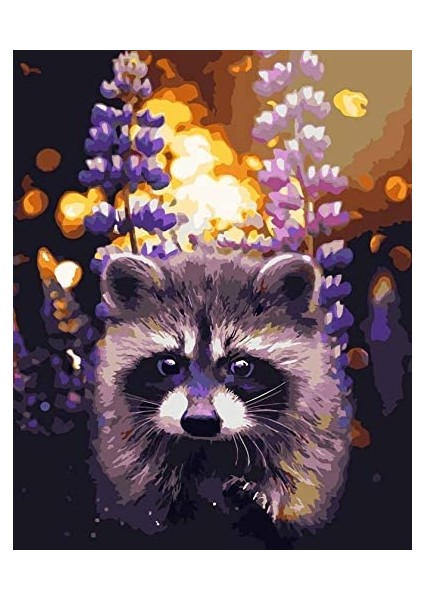 Tatlış Rakun Çerçeveli 70X90 Sayılarla Boyama Hobi Seti