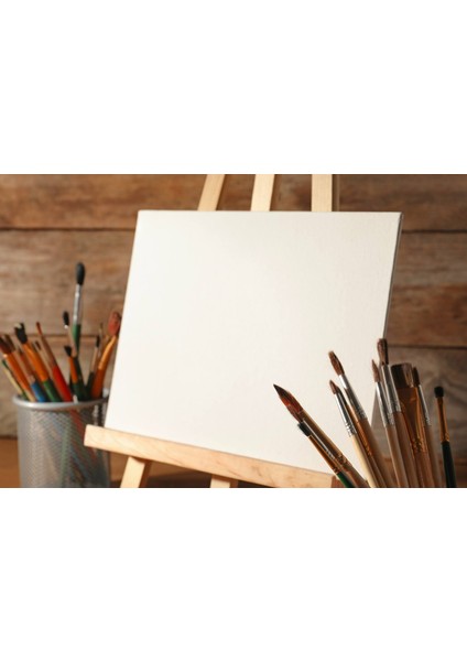 Zürafa ve Fil Çerçeveli 40X50 Sayılarla Boyama Hobi Seti