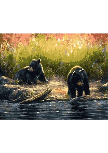 Karaca Ayılar Çerçeveli 40X50 Sayılarla Boyama Hobi Seti