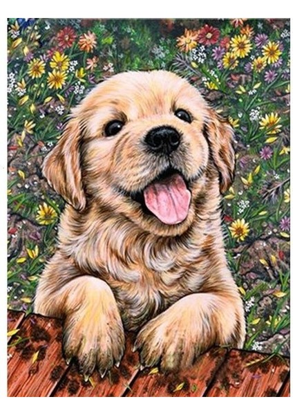 Sevimli Yavru Köpek 1 Çerçeveli 50X65 Sayılarla Boyama Hobi Seti