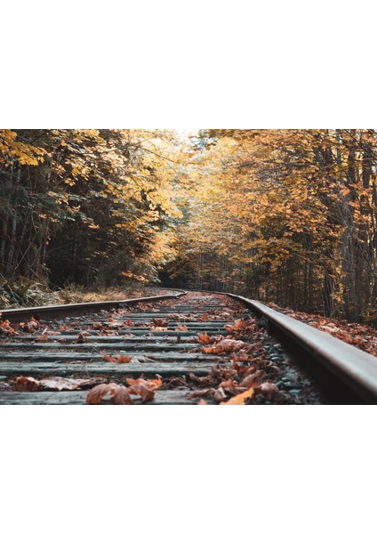 Sonbahar ve Raylar Çerçeveli 40X50 Sayılarla Boyama Hobi Seti