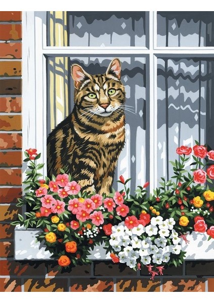 Camdaki Kedi Çerçeveli 40X50 Sayılarla Boyama Hobi Seti