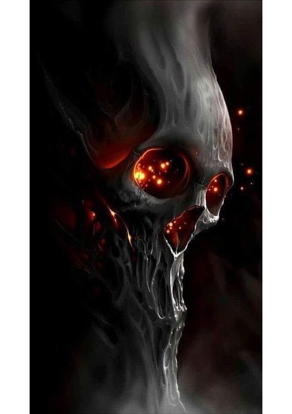 Kupkuru Kafa 2 Çerçeveli 50X65 Sayılarla Boyama Hobi Seti