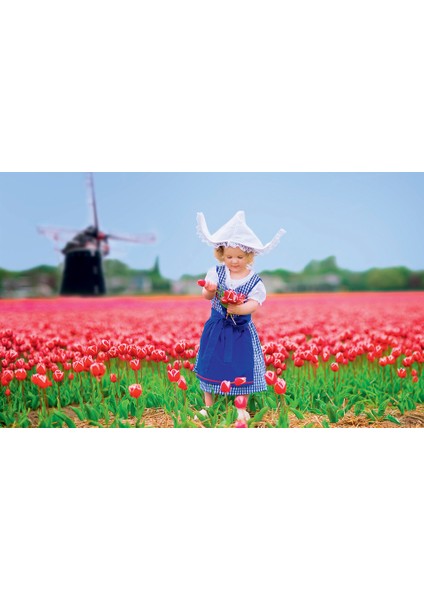Amsterdam Lale Tarlası Çerçeveli 60X75 Sayılarla Boyama Hobi Seti