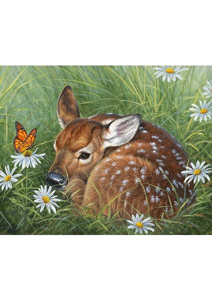 Buzağı Çerçeveli 50X65 Sayılarla Boyama Hobi Seti