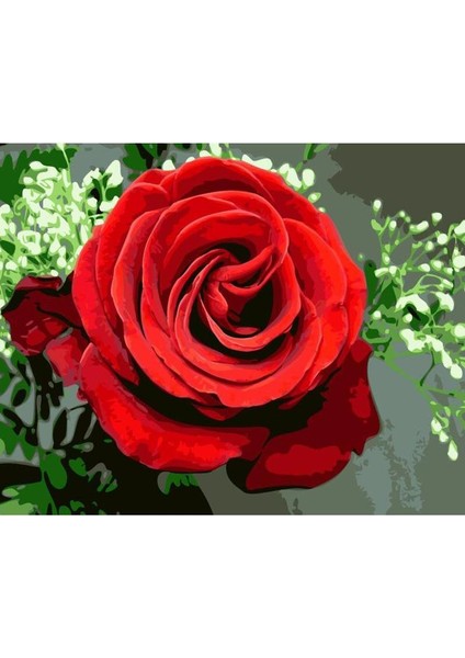 Kırmızı Gül Çerçeveli 90X110 Sayılarla Boyama Hobi Seti