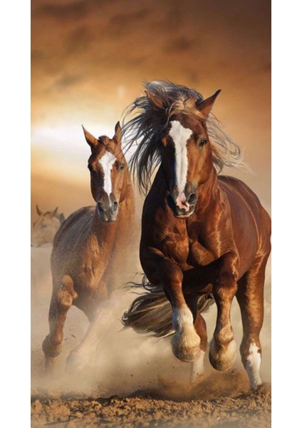 Koşuşan Atlar Çerçeveli 90X110 Sayılarla Boyama Hobi Seti