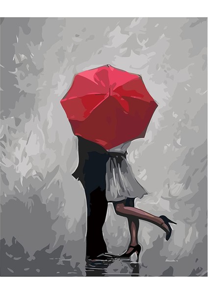 Gizli Saklı Aşk Çerçeveli 60X75 Sayılarla Boyama Hobi Seti