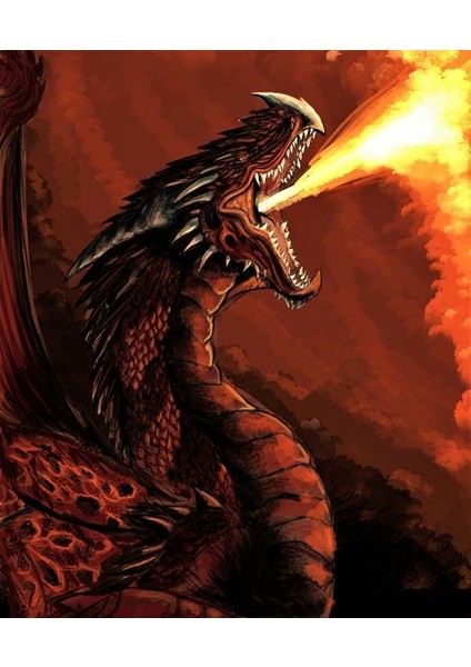 Ateşli Ejderha Çerçeveli 90X110 Sayılarla Boyama Hobi Seti