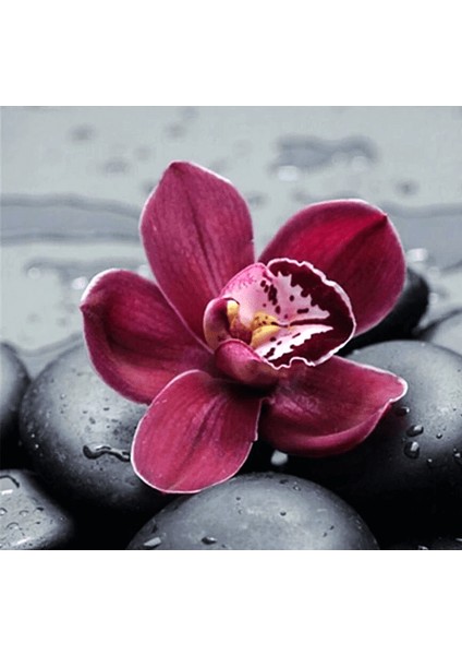 Yağmur ve Çiçek Çerçeveli 70X90 Sayılarla Boyama Hobi Seti