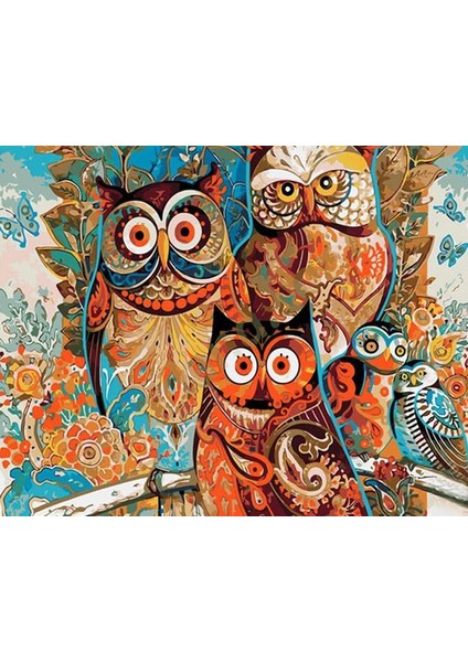 Baybay Baykuş Çerçeveli 90X110 Sayılarla Boyama Hobi Seti