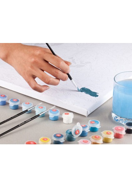 Tatlı Su Yılanı Çerçevesiz 60X75 Sayılarla Boyama Hobi Seti