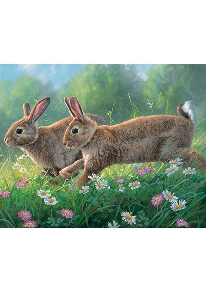 Kanka Tavşanlar Çerçeveli 40X50 Sayılarla Boyama Hobi Seti