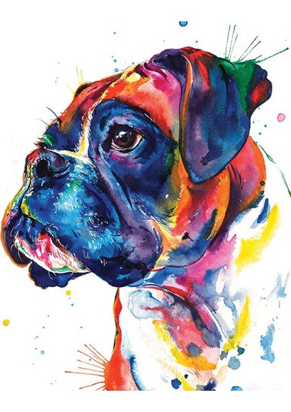 Renkli Boxer Çerçeveli 40X50 Sayılarla Boyama Hobi Seti