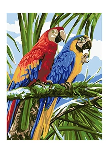 Papağanların Dostluğu Çerçeveli 40X50 Sayılarla Boyama Hobi Seti