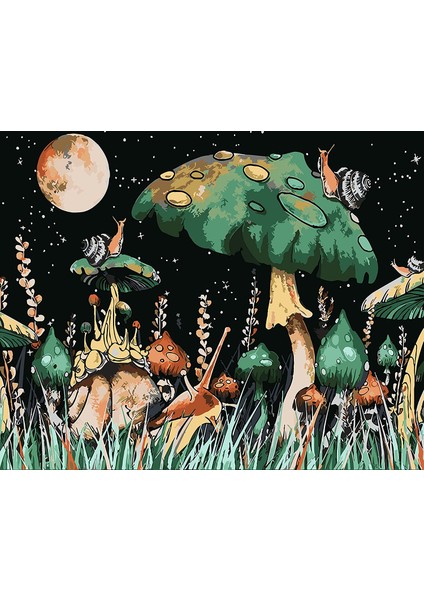 Ay Mantarları Çerçeveli 40X50 Sayılarla Boyama Hobi Seti