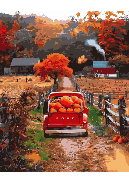 Köy Yolları Çerçeveli 40X50 Sayılarla Boyama Hobi Seti