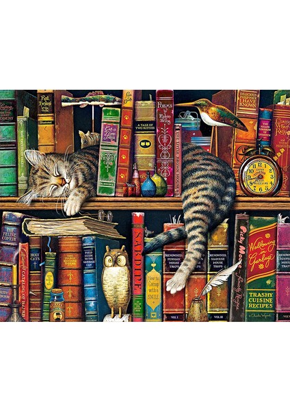 Haylaz Kedi Çerçeveli 40X50 Sayılarla Boyama Hobi Seti