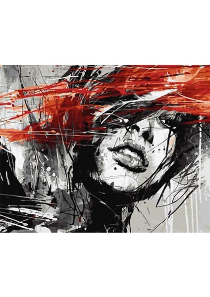 Çizik Silüet Çerçeveli 40X50 Sayılarla Boyama Hobi Seti