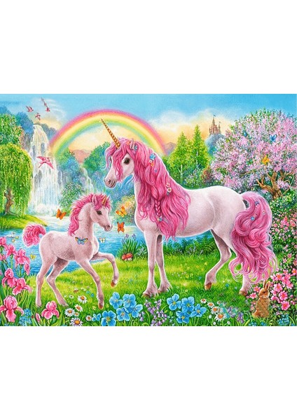 Pembe Unicorn Çerçeveli 40X50 Sayılarla Boyama Hobi Seti