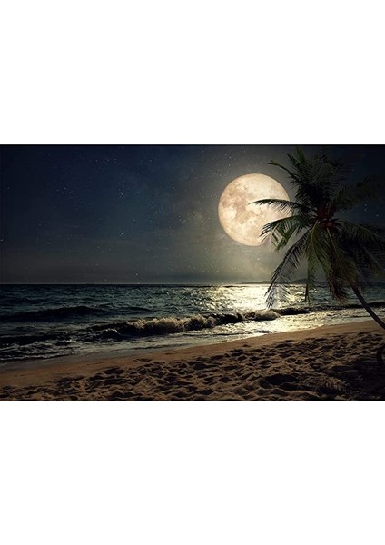 Dolunay Enerjisi Çerçeveli 50X65 Sayılarla Boyama Hobi Seti