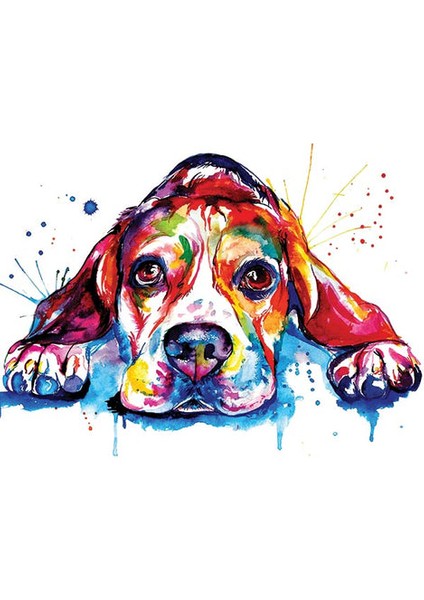 Renkli Köpek Çerçeveli 50X65 Sayılarla Boyama Hobi Seti