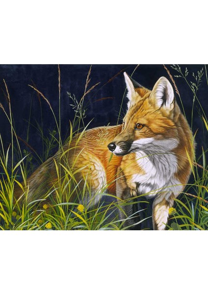 Kızıl Tilki Çerçeveli 40X50 Sayılarla Boyama Hobi Seti