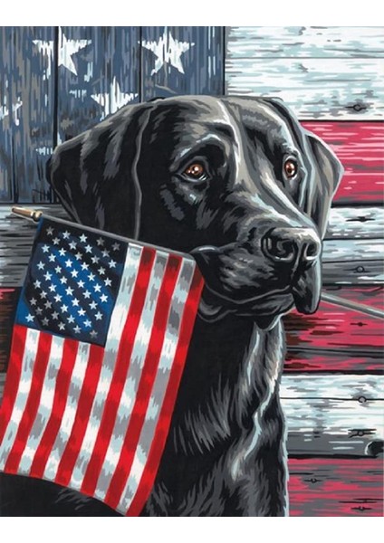 Milliyetçi Köpek Çerçeveli 40X50 Sayılarla Boyama Hobi Seti