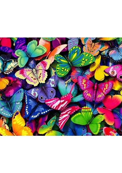 Renkli Kelebekler Çerçeveli 40X50 Sayılarla Boyama Hobi Seti