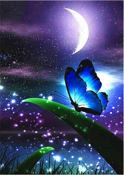 Büyülü Kelebek Çerçeveli 50X65 Sayılarla Boyama Hobi Seti