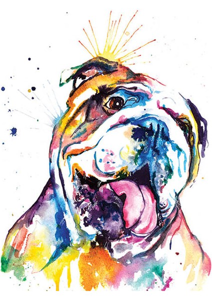 Renkli Buldog Çerçeveli 40X50 Sayılarla Boyama Hobi Seti