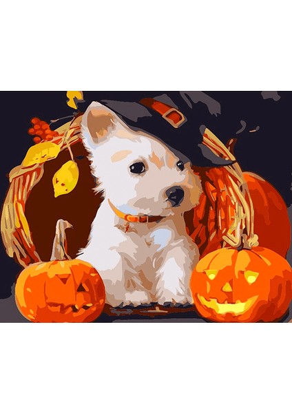 Balkabağı ve Köpek Çerçeveli 50X65 Sayılarla Boyama Hobi Seti