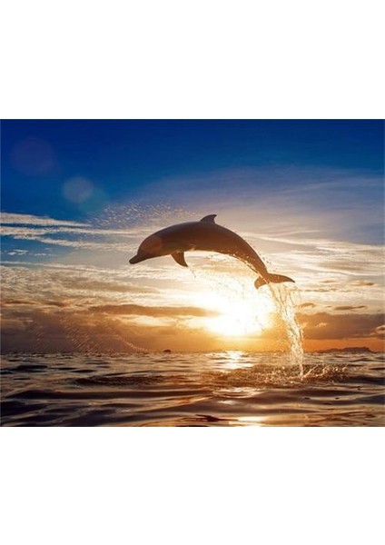 Gün Batımı ve Yunus Çerçeveli 50X65 Sayılarla Boyama Hobi Seti