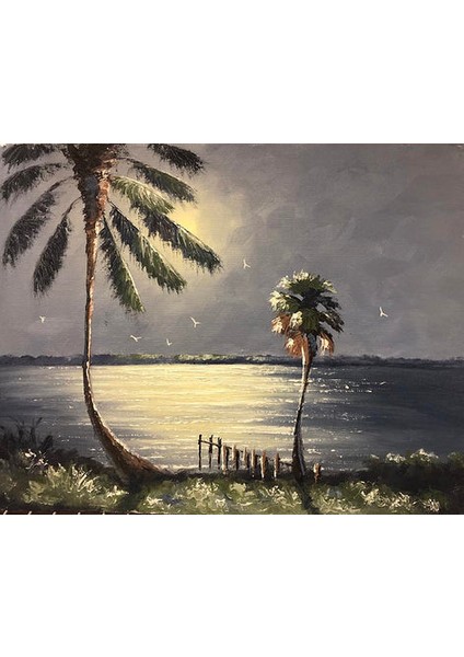 Gece Palmiyeleri Çerçeveli 50X65 Sayılarla Boyama Hobi Seti