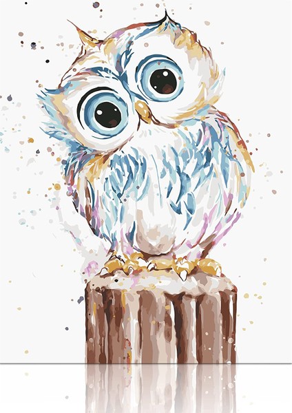 Gamlı Baykuş Çerçeveli 50X65 Sayılarla Boyama Hobi Seti